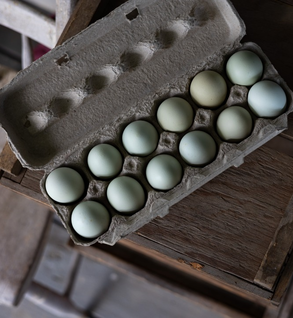 Farm Fresh Eggs