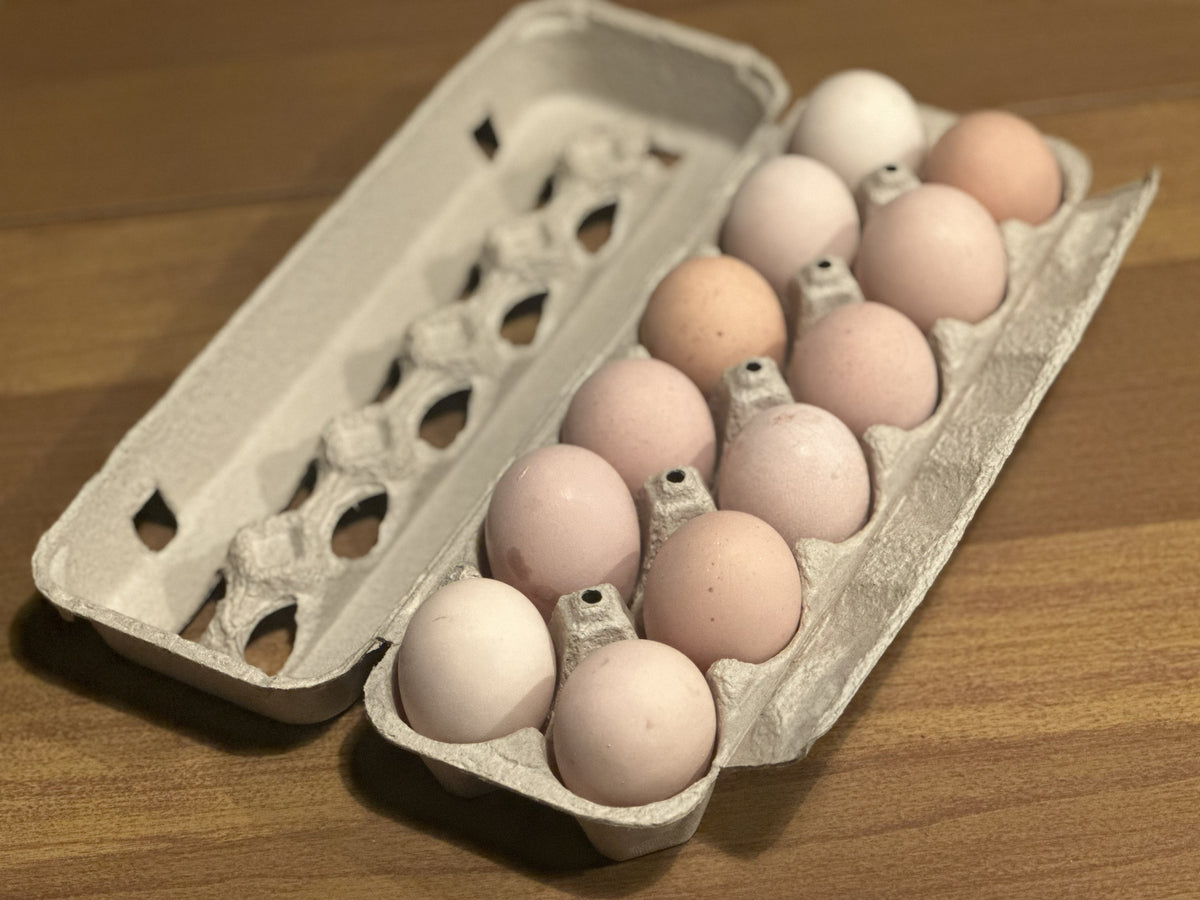 Farm Fresh Eggs